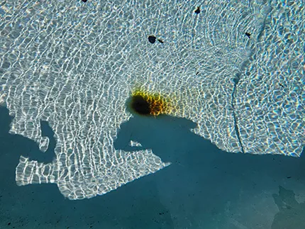 Pool restoration before photo